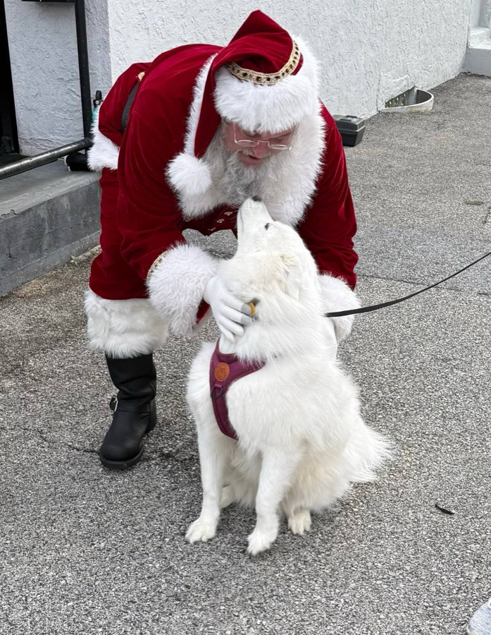Santa greeting a big white dog